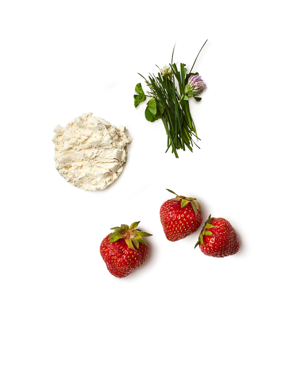 Whey Protein Isolate Powder - Strawberry Milk