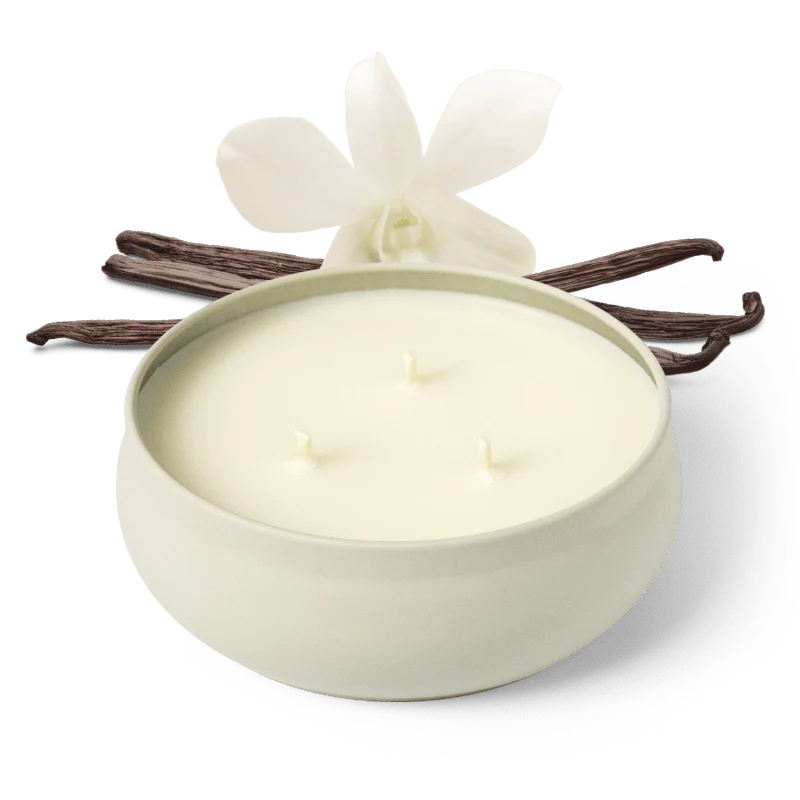 3 Wick Candle - Blondewood