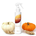 Air + Fabric Spray - Ginger Pumpkin