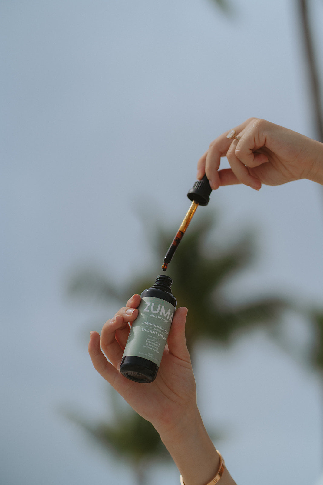 What's The Hype Around Shilajit?