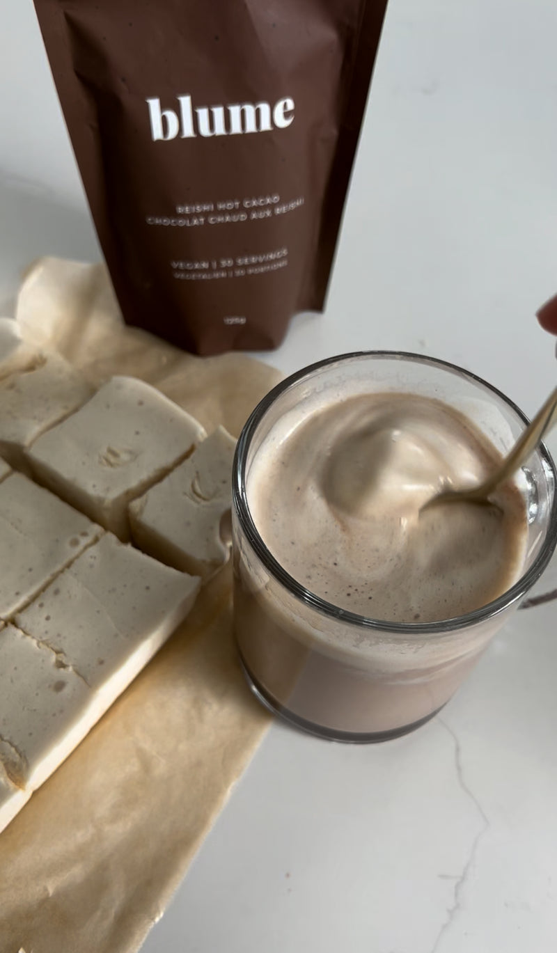 Reishi Hot Chocolate with Gut Healthy Marshmallows