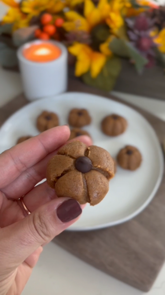 No-Bake Pumpkin Protein Bites