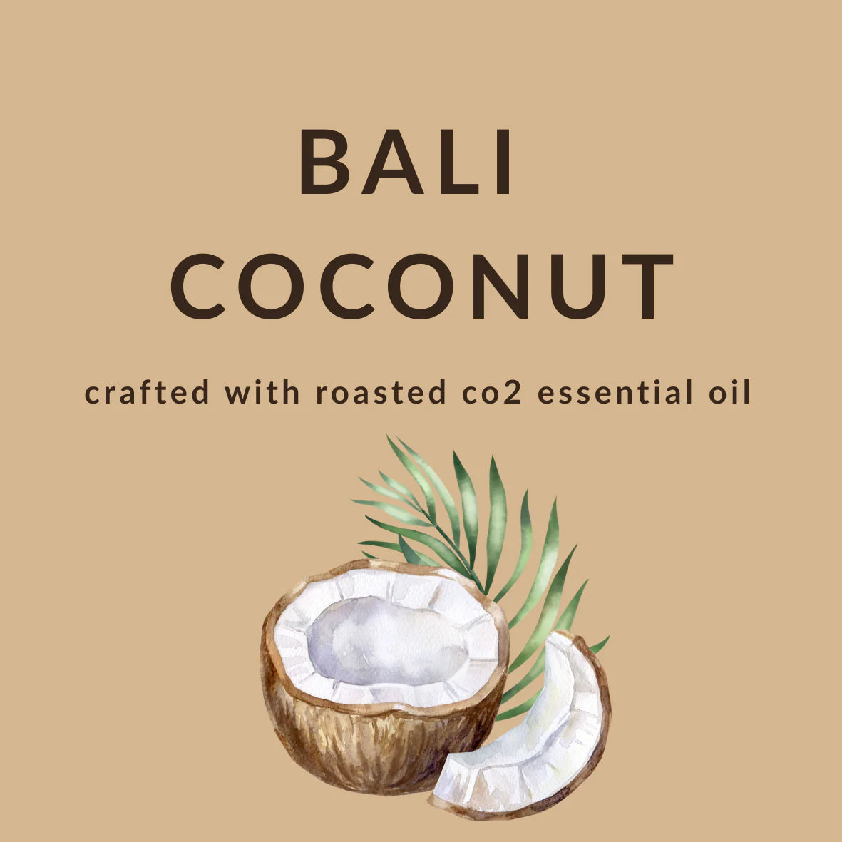 Coconut Oil Sugar Scrub - Bali Coconut