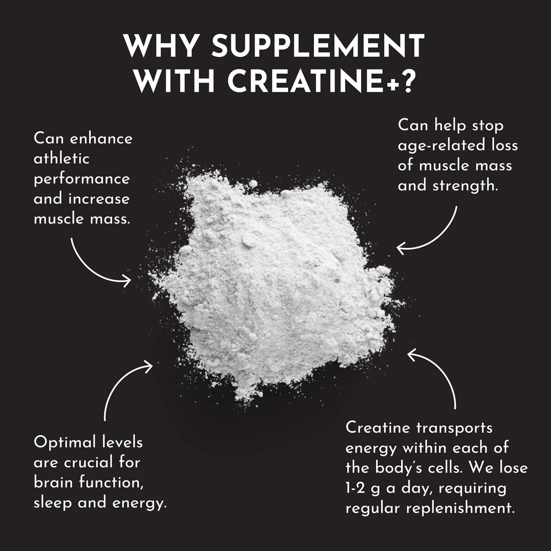 Just Ingredients Creatine+