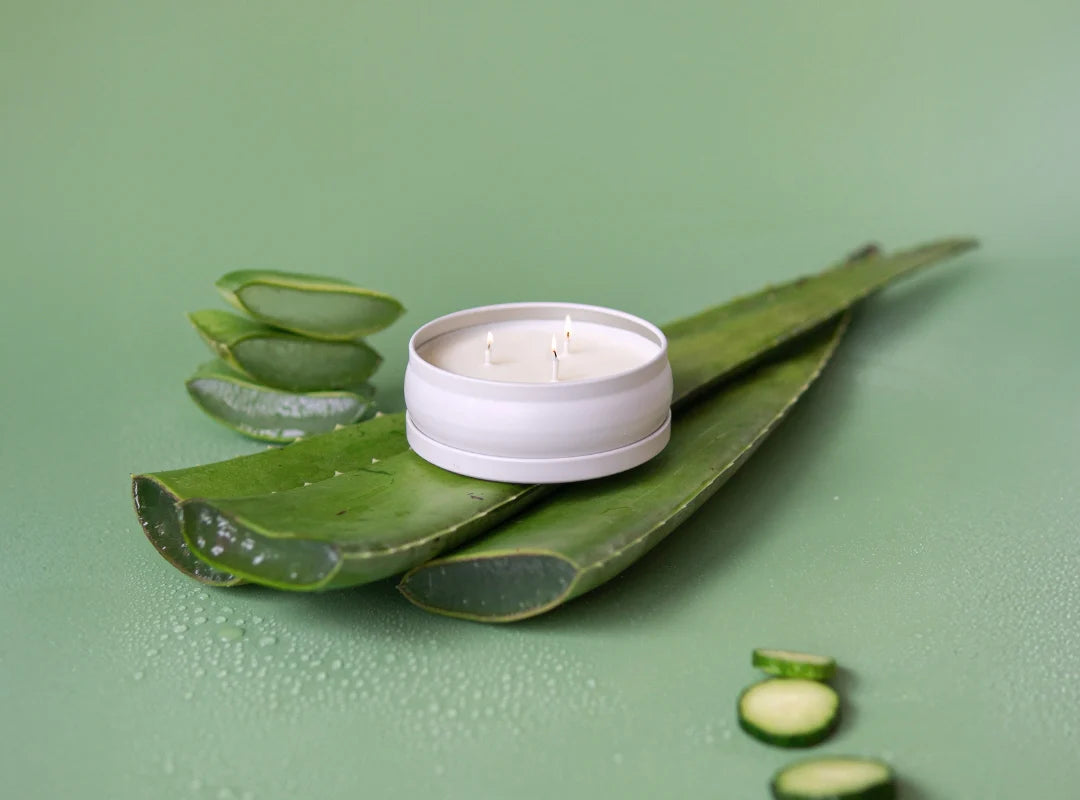 Grow Fragrance 3 Wick Candle - Cucumber Aloe