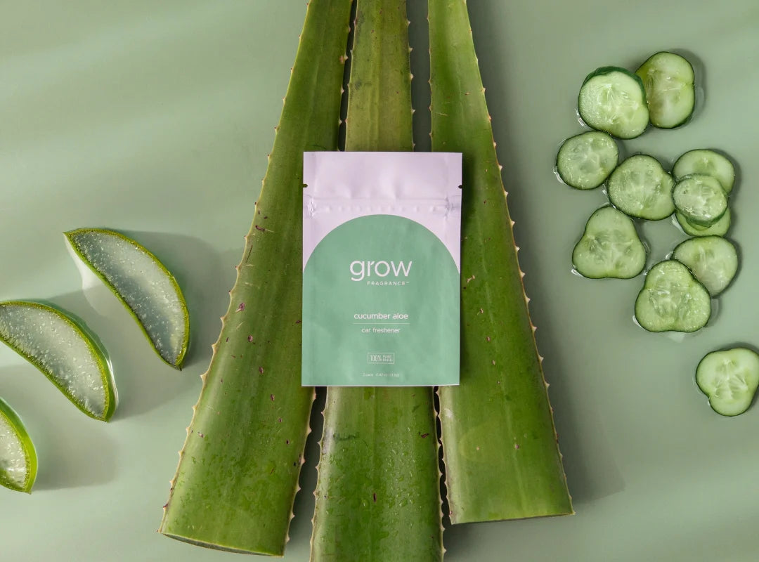 Grow Fragrance Car Freshener - Cucumber Aloe