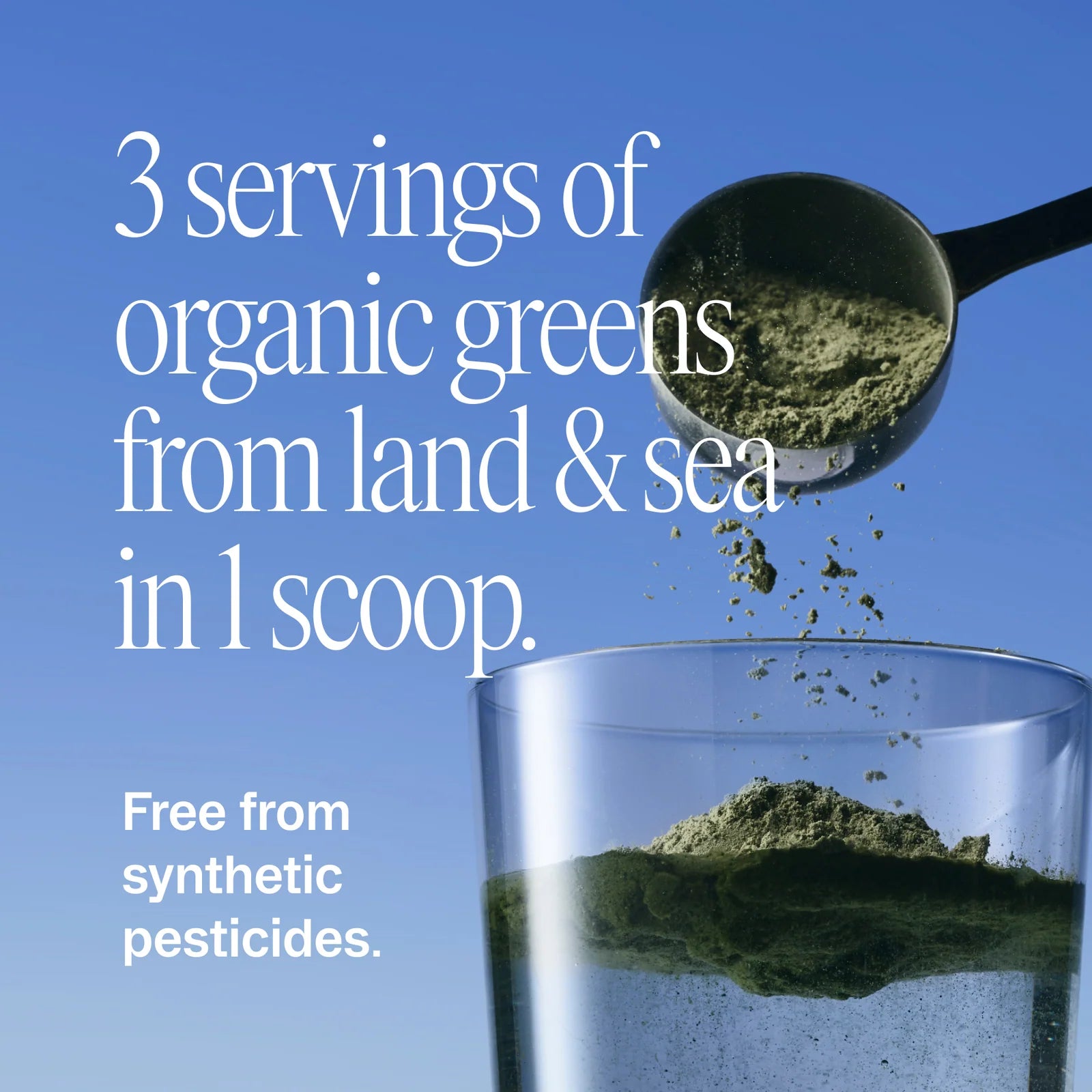 Easy Being Green - Superfood Greens Powder