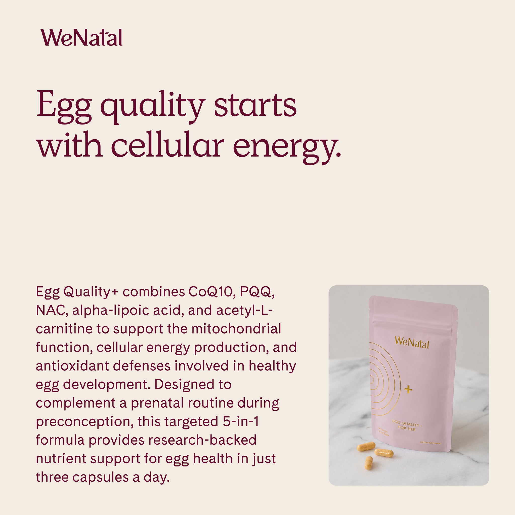 Egg Quality