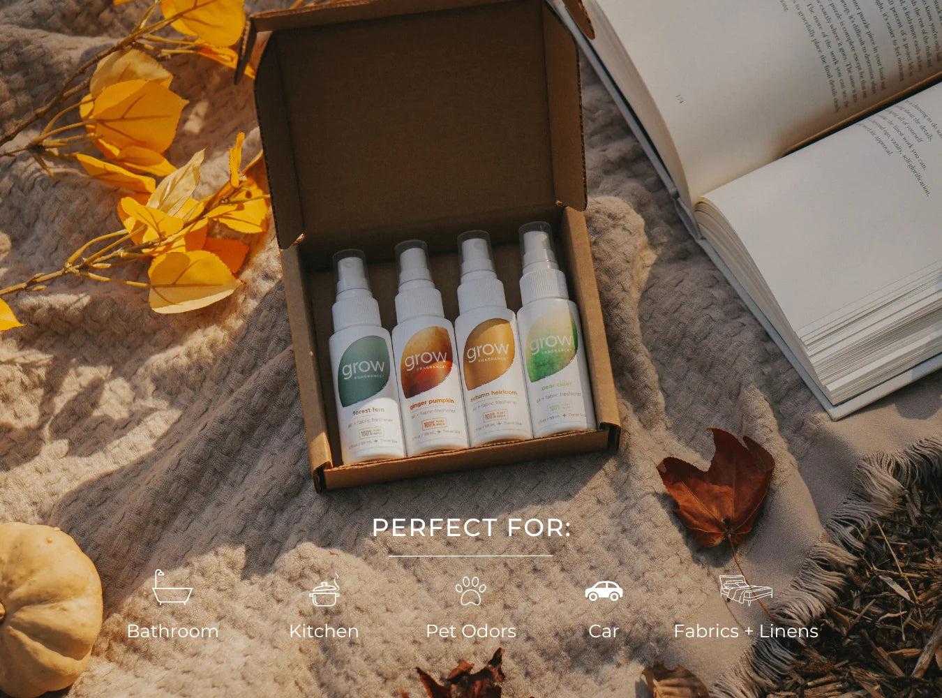 Grow Fragrance Fall Discovery Set