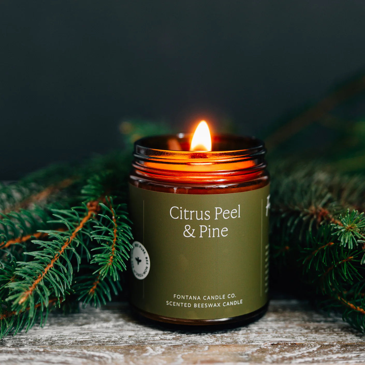 Fontana Candle Co. Citrus Peel & Pine Candle