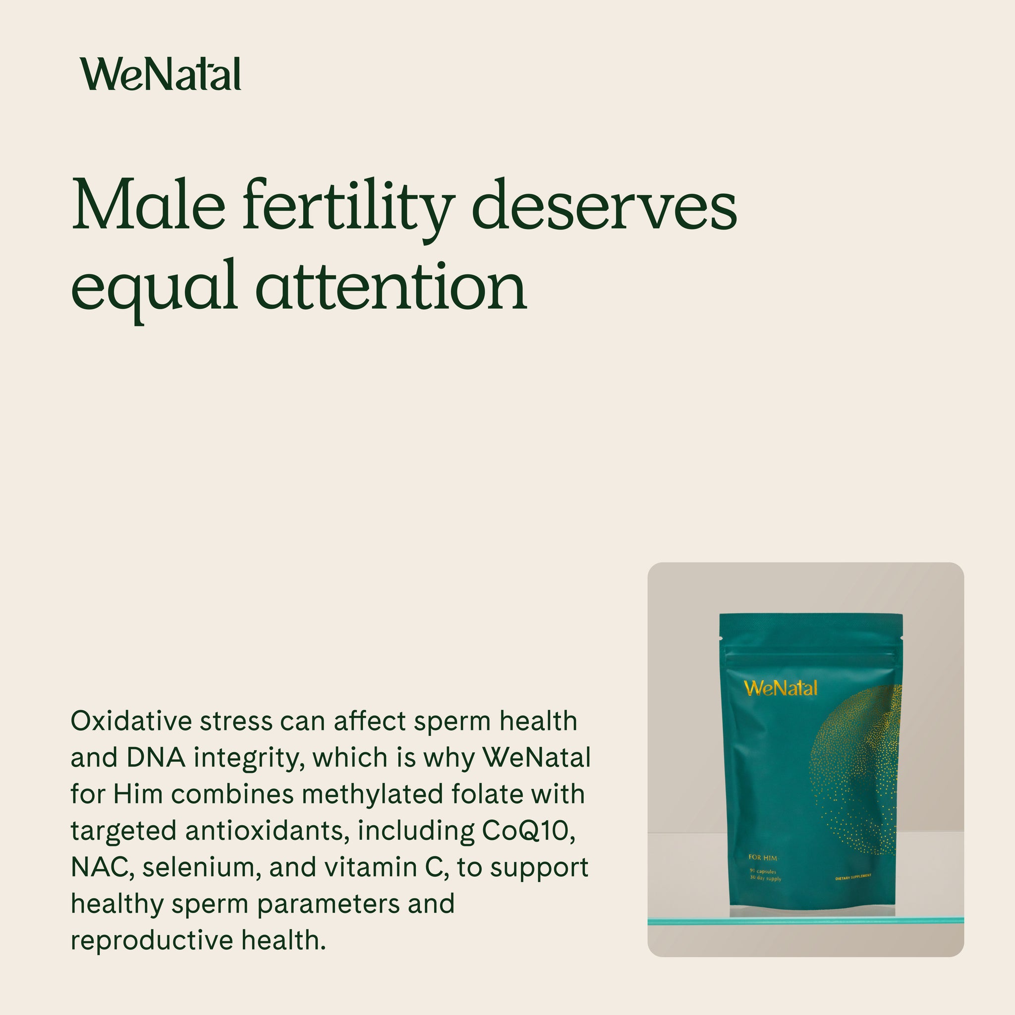 Prenatal Pouch - For Him