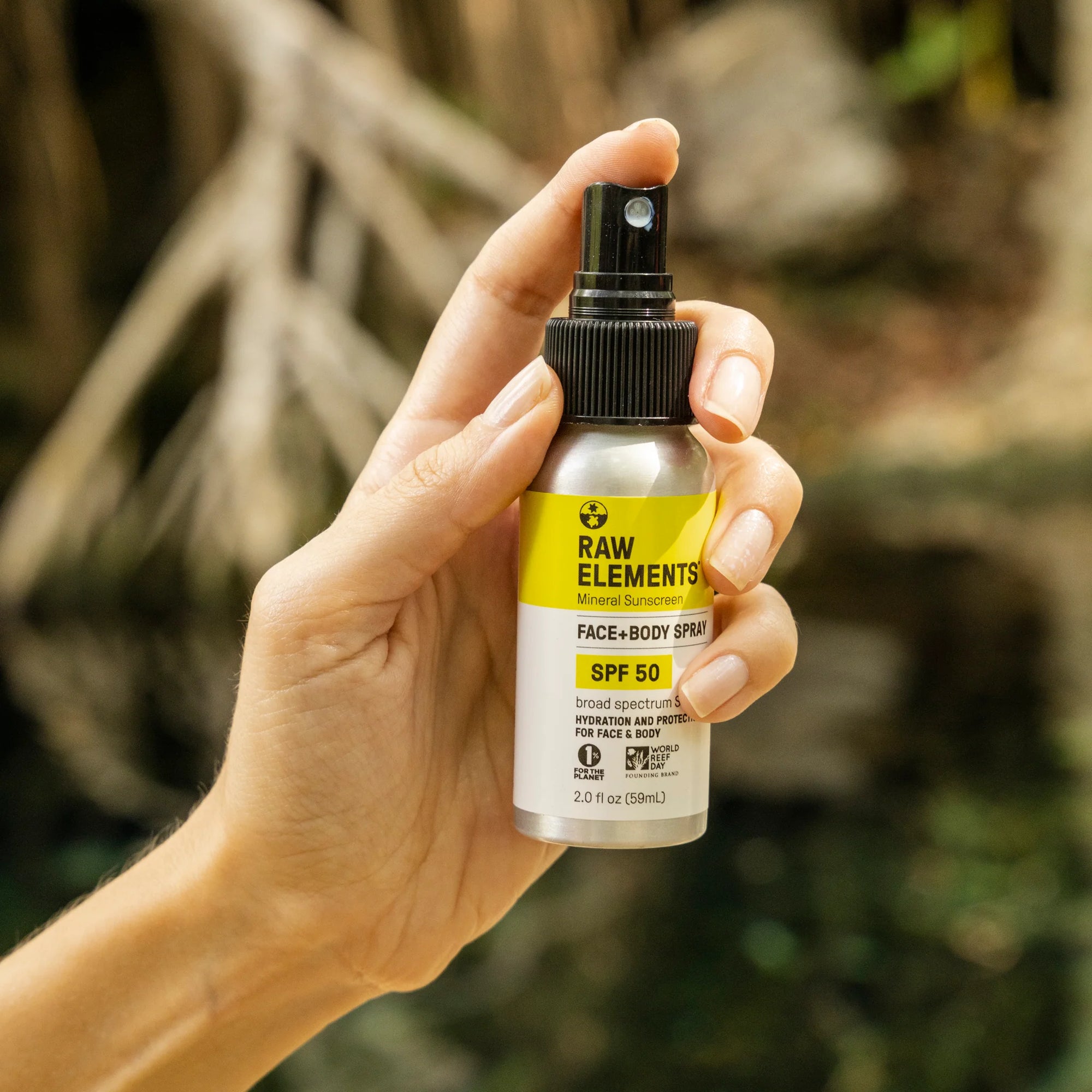 SPF 50 FACE + BODY SPRAY