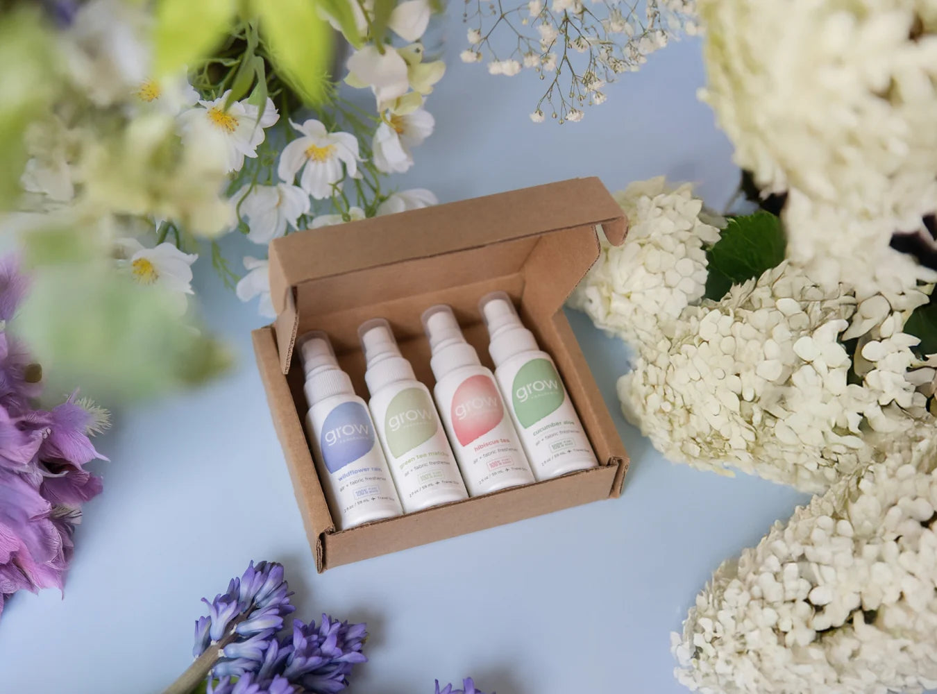 Spring Discovery Set