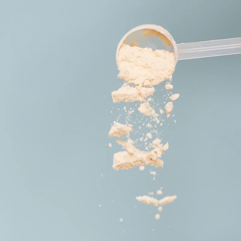 Bone Broth Protein - Vanilla
