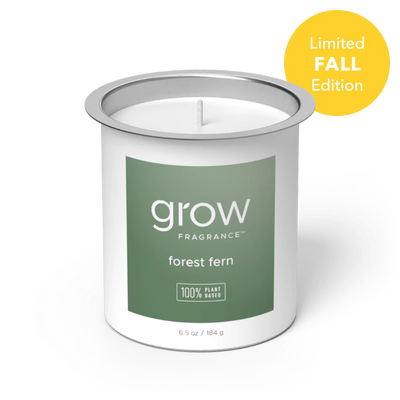 Grow Fragrance Forest Fern Candle Refill