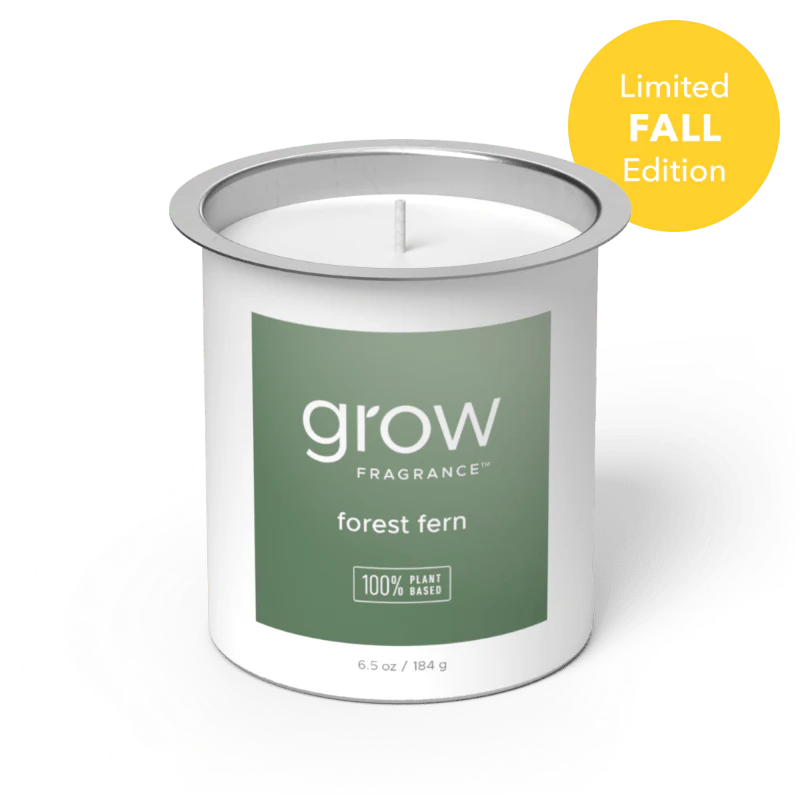 Grow Fragrance Forest Fern Candle Refill