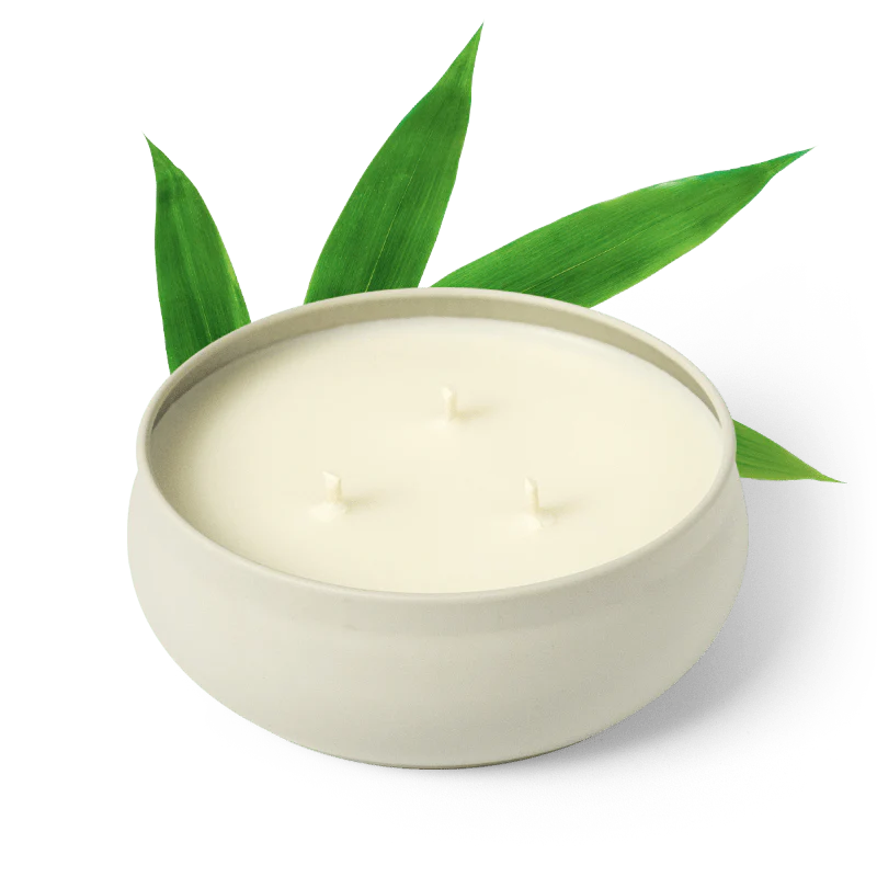 3 Wick Candle - Bamboo