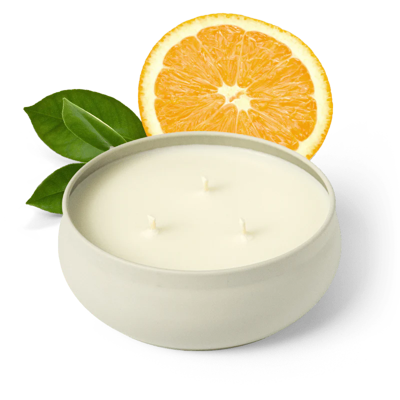 3 Wick Candle - Golden Grove