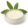 Grow Fragrance 3 Wick Candle - Woodland Sage