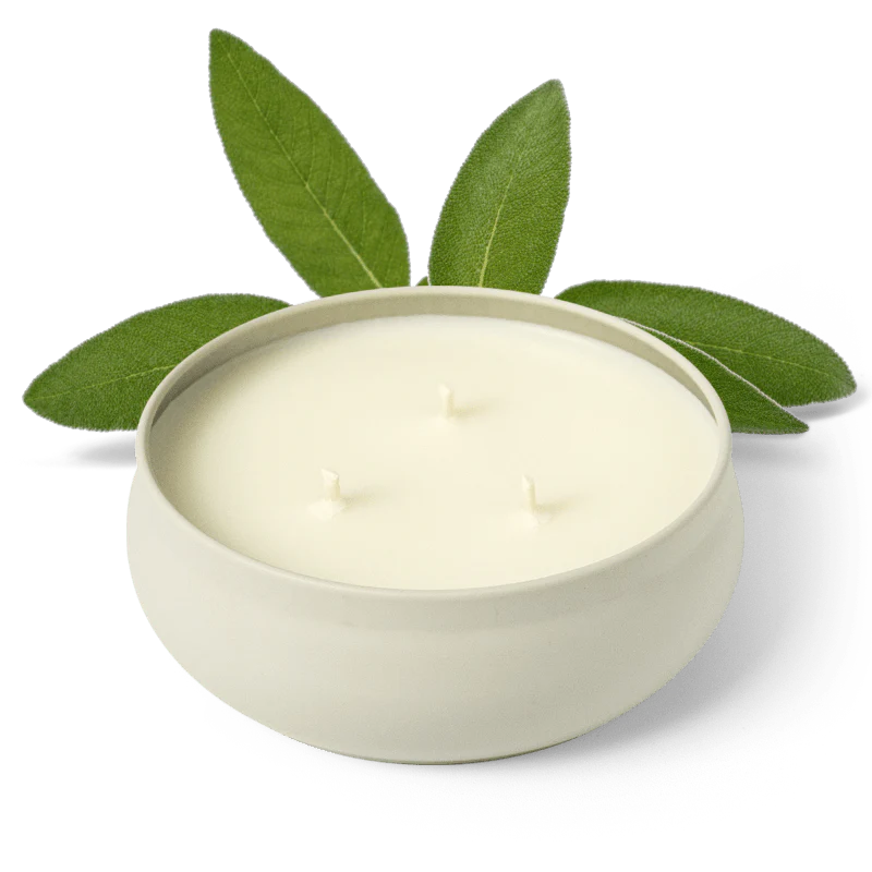 Grow Fragrance 3 Wick Candle - Woodland Sage