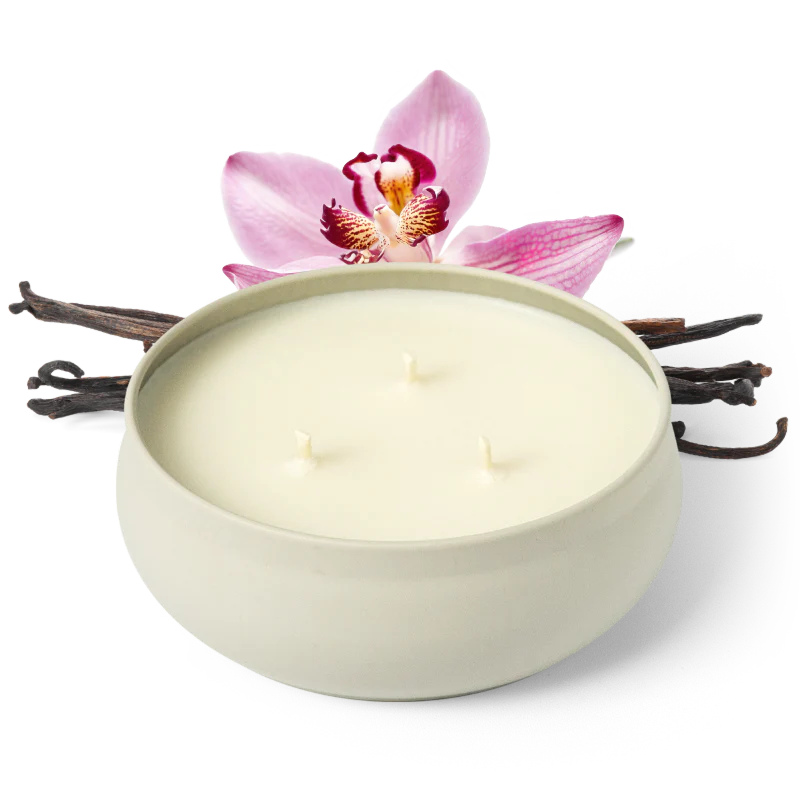 3 Wick Candle - Midnight Orchid