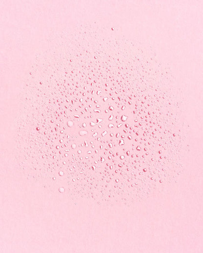 Earth Harbor Tidal Rose Hydration Mist