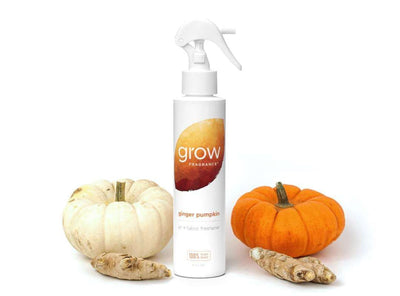 Grow Fragrance Ginger Pumpkin